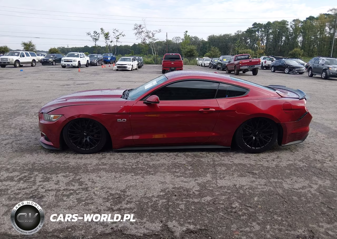 2015 Ford Mustang Gt Premium VIN:1FA6P8CF3F5372745 - 14