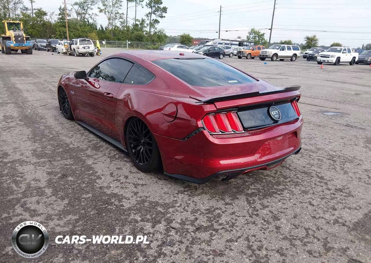 2015 Ford Mustang Gt Premium VIN:1FA6P8CF3F5372745 - 3