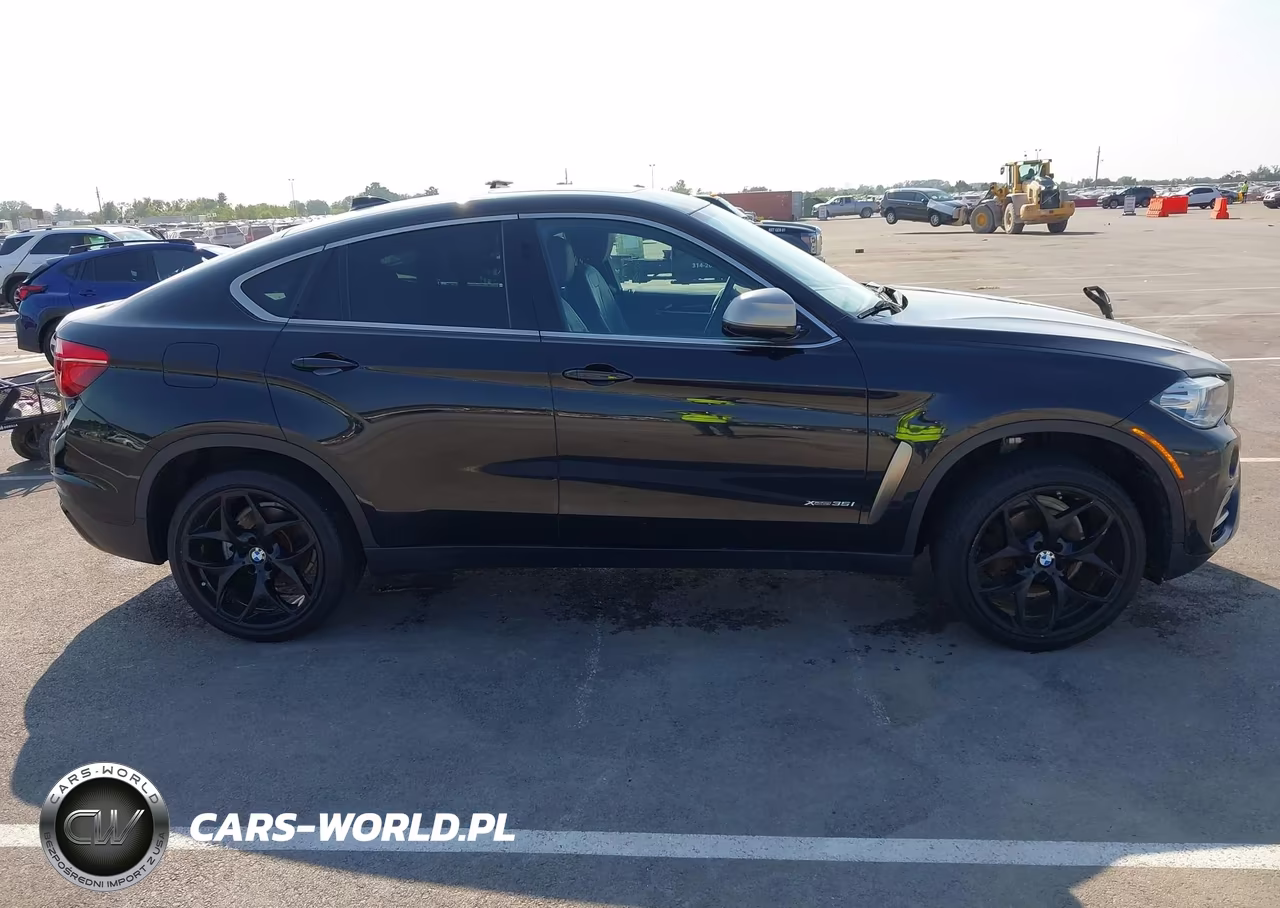 2017 BMW X6 xDrive35I VIN:5UXKU2C31H0U29611 - 13