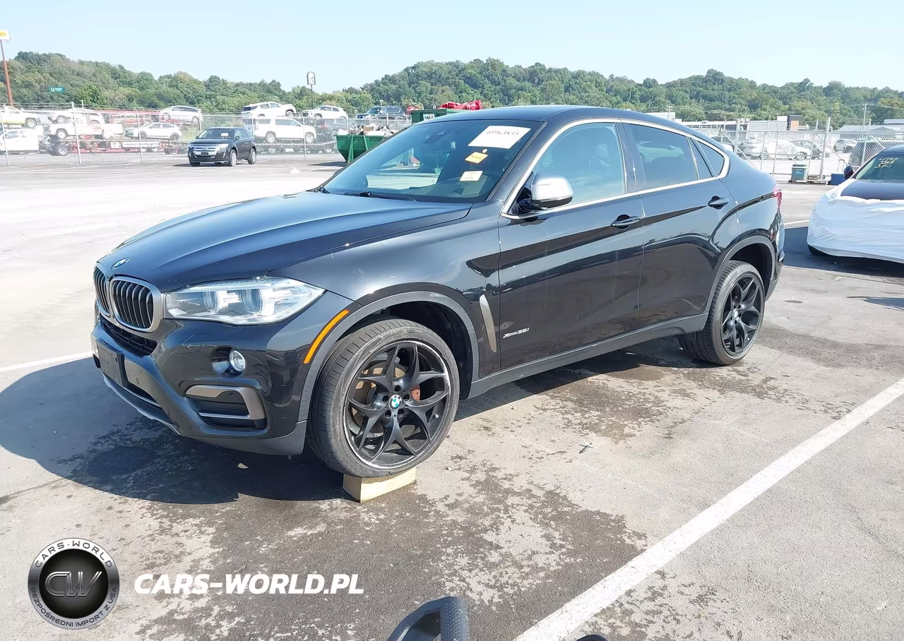 2017 BMW X6 xDrive35I VIN:5UXKU2C31H0U29611 - 2