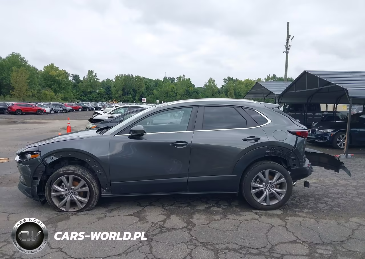 2023 Mazda Cx-30 2.5 S Preferred VIN:3MVDMBCM2PM556896 - 14