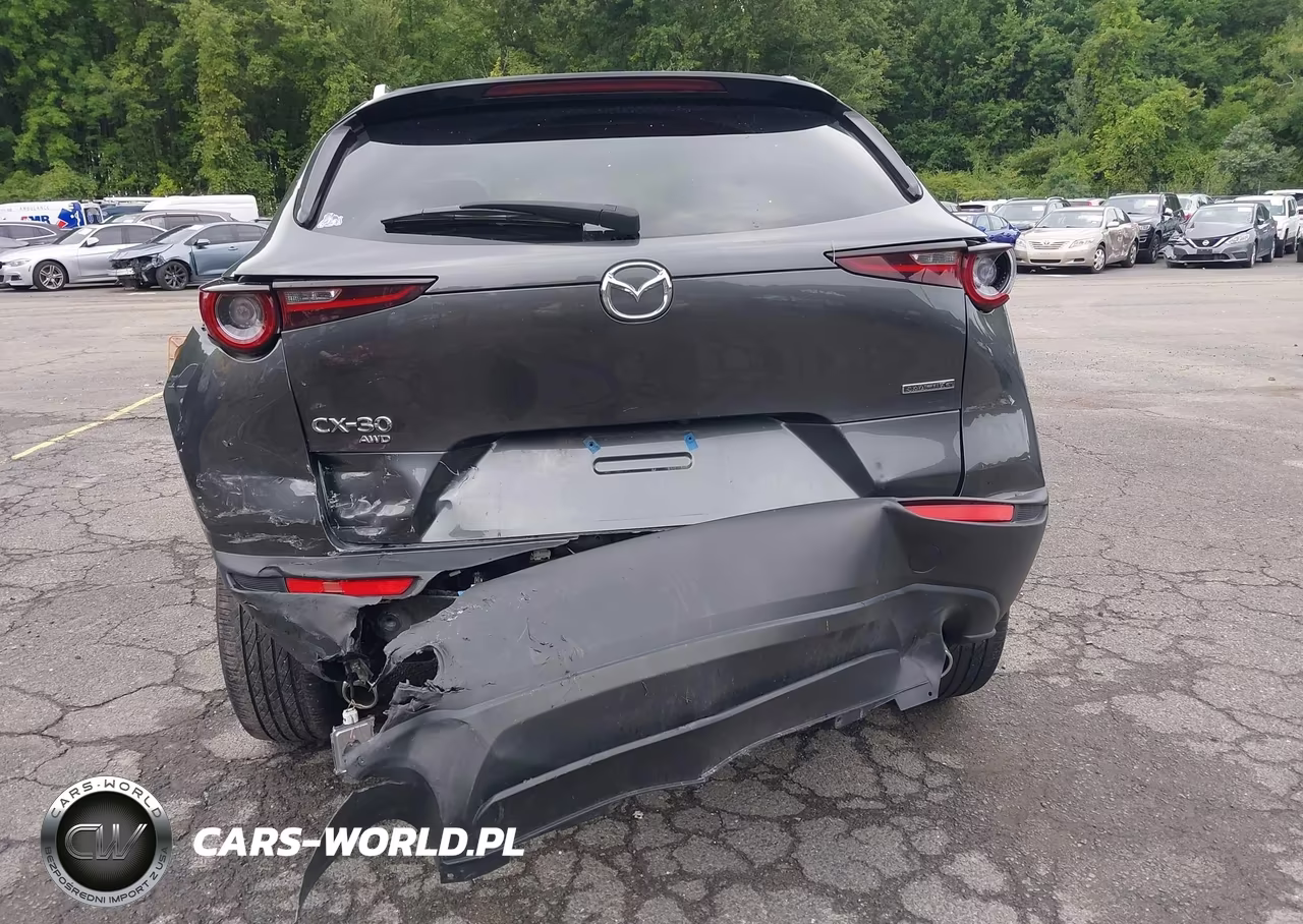 2023 Mazda Cx-30 2.5 S Preferred VIN:3MVDMBCM2PM556896 - 6