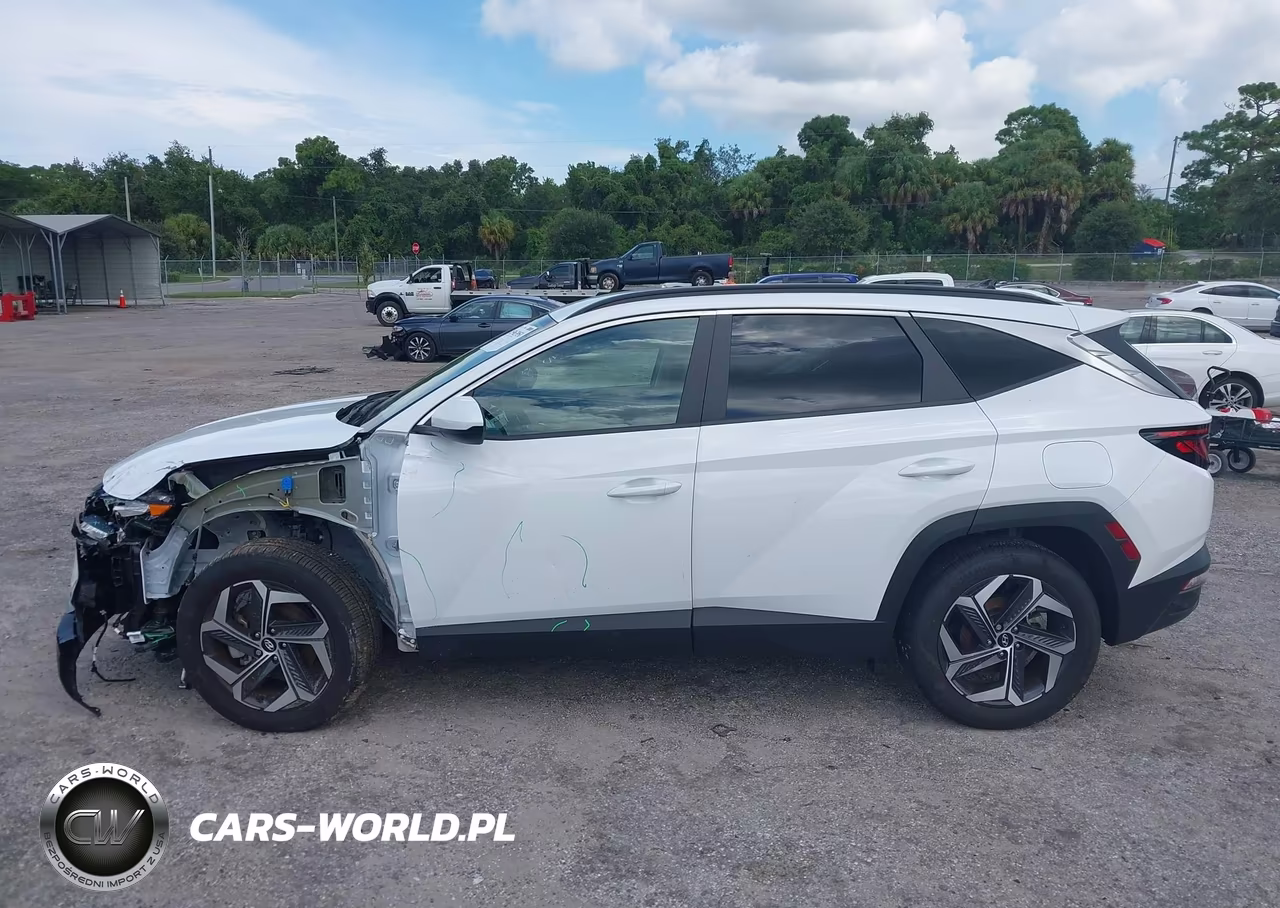 2024 Hyundai Tucson Sel VIN:5NMJB3DE6RH421336 - 14
