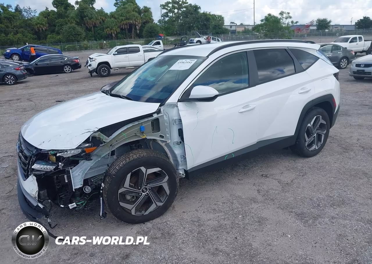 2024 Hyundai Tucson Sel VIN:5NMJB3DE6RH421336 - 2