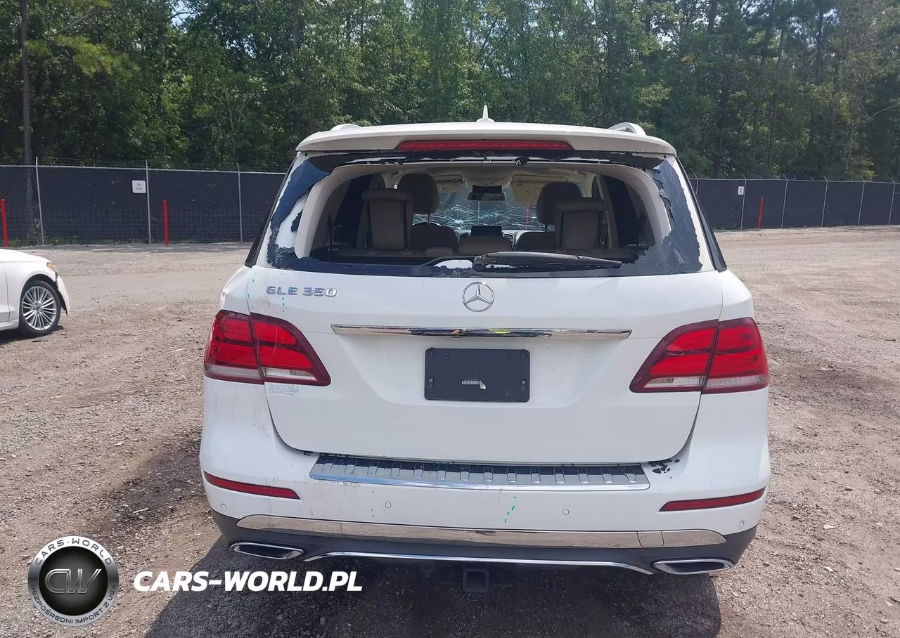2018 Mercedes-Benz Gle 350 VIN:4JGDA5JB0JB198995 - 16