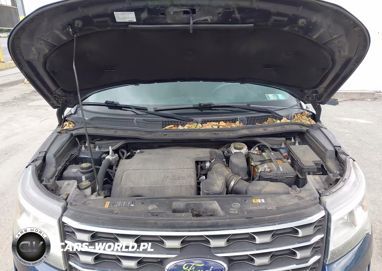 2017 Ford Explorer Xlt VIN:1FM5K8D8XHGA19815 - 10