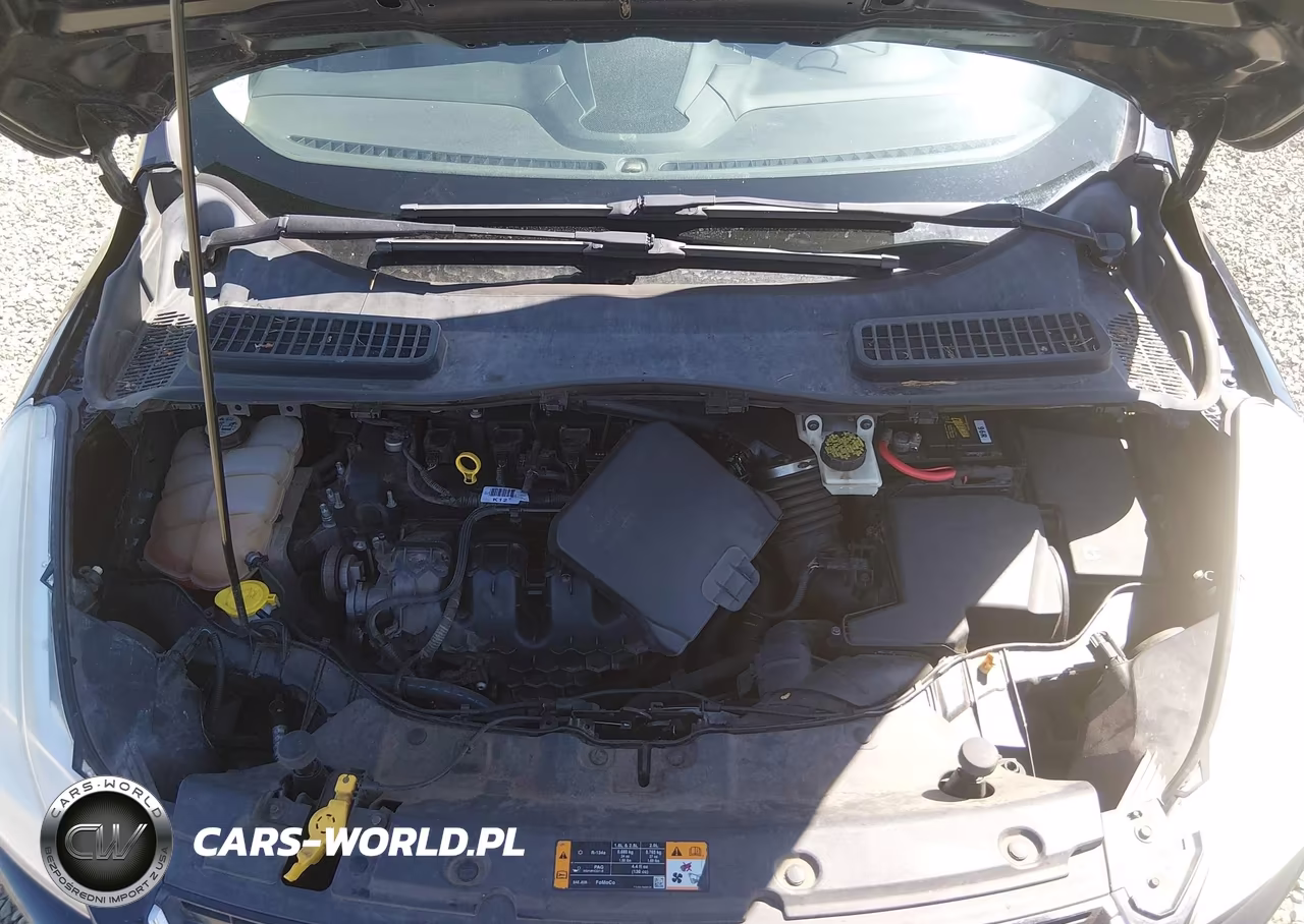 2013 Ford Escape Sel VIN:1FMCU0H95DUC36027 - 10