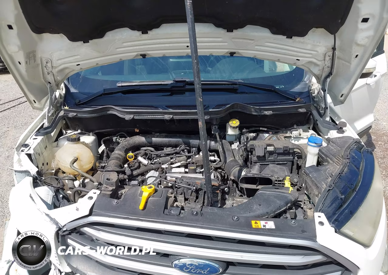 2019 Ford Ecosport Se VIN:MAJ3S2GE2KC309125 - 10