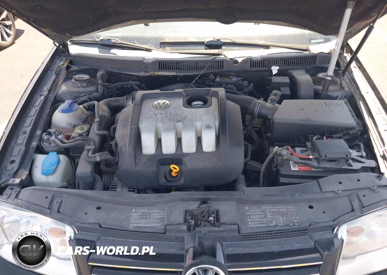 2004 Volkswagen Jetta Gl Tdi VIN:WVWRR61J14W113157 - 10