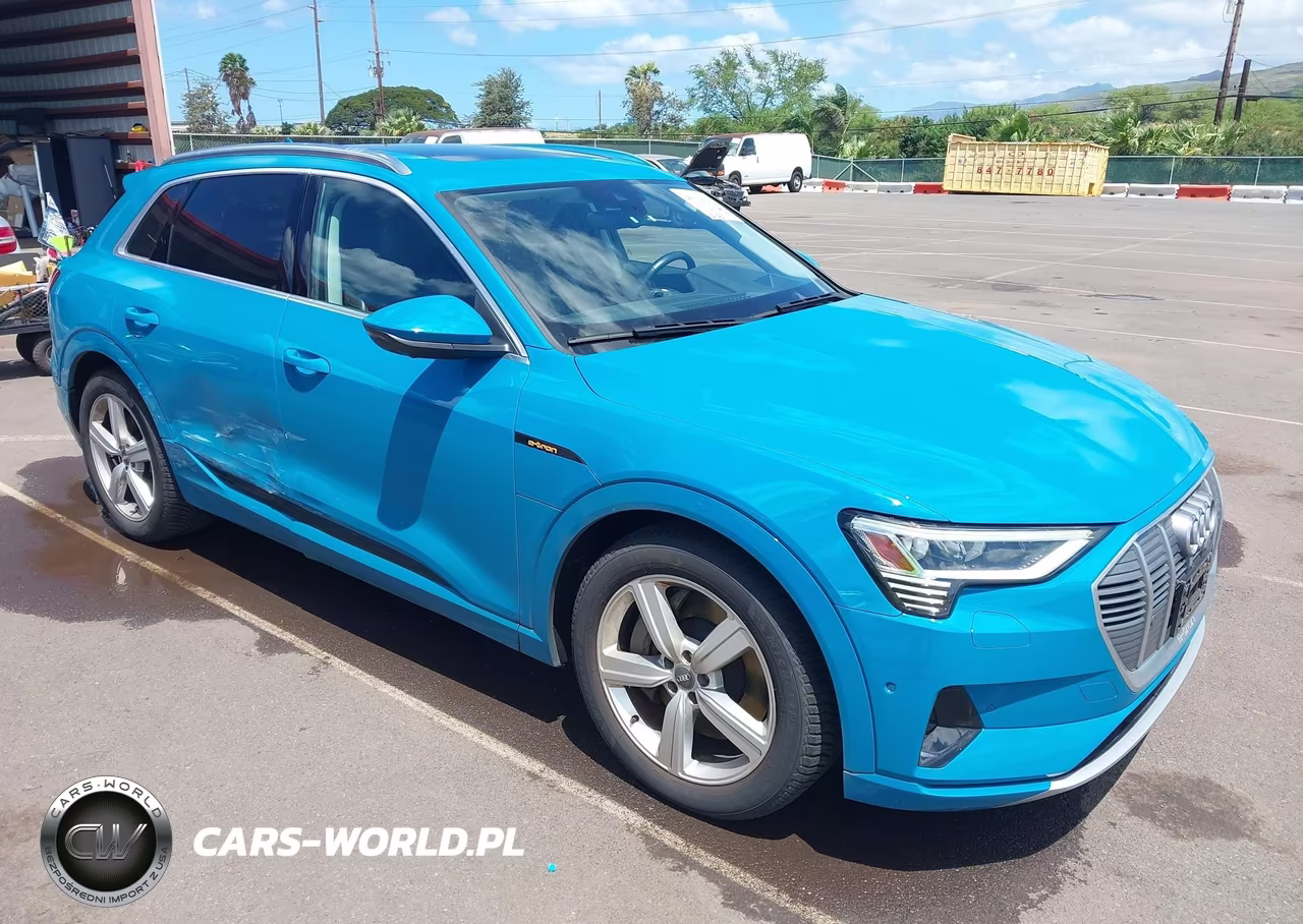 2019 Audi E-Tron Premium Plus – zdjęcie 1 z 18
