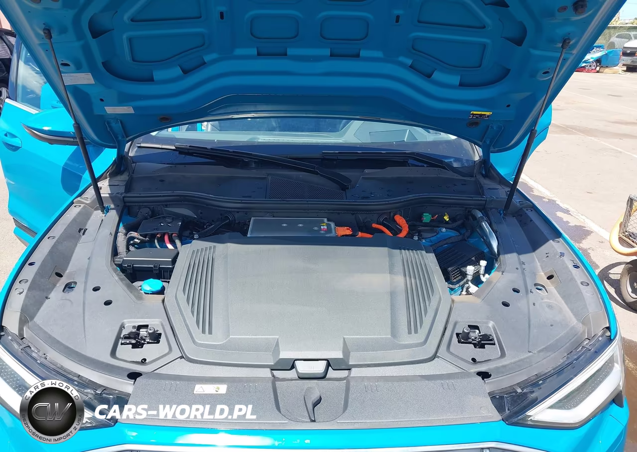 2019 Audi E-Tron Premium Plus VIN:WA1VABGE7KB014639 - 10