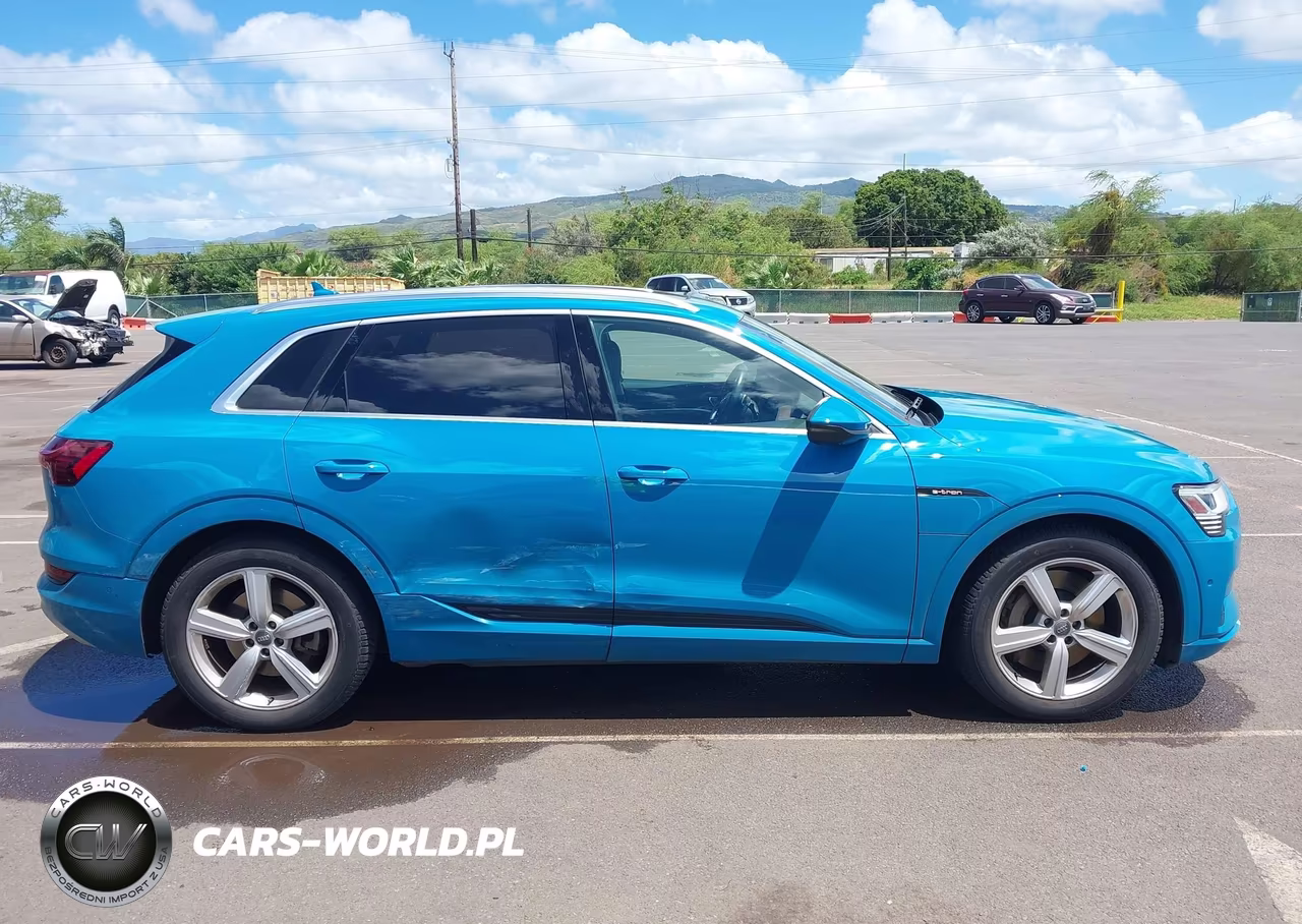 2019 Audi E-Tron Premium Plus VIN:WA1VABGE7KB014639 - 13