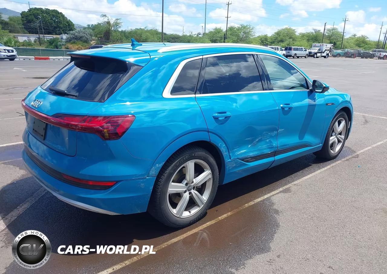 2019 Audi E-Tron Premium Plus VIN:WA1VABGE7KB014639 - 4