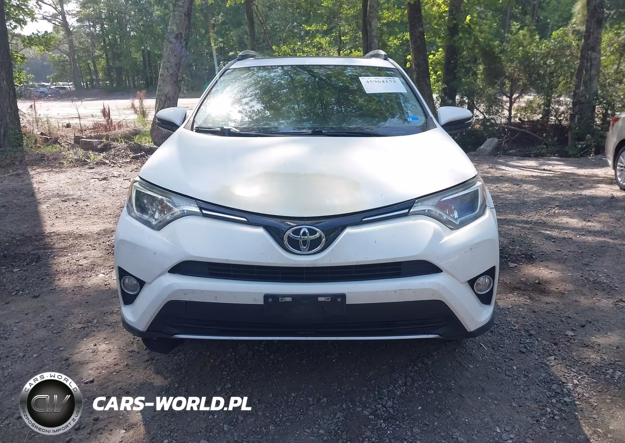 2016 Toyota Rav4 Xle VIN:JTMRFREV7GD179655 - 12