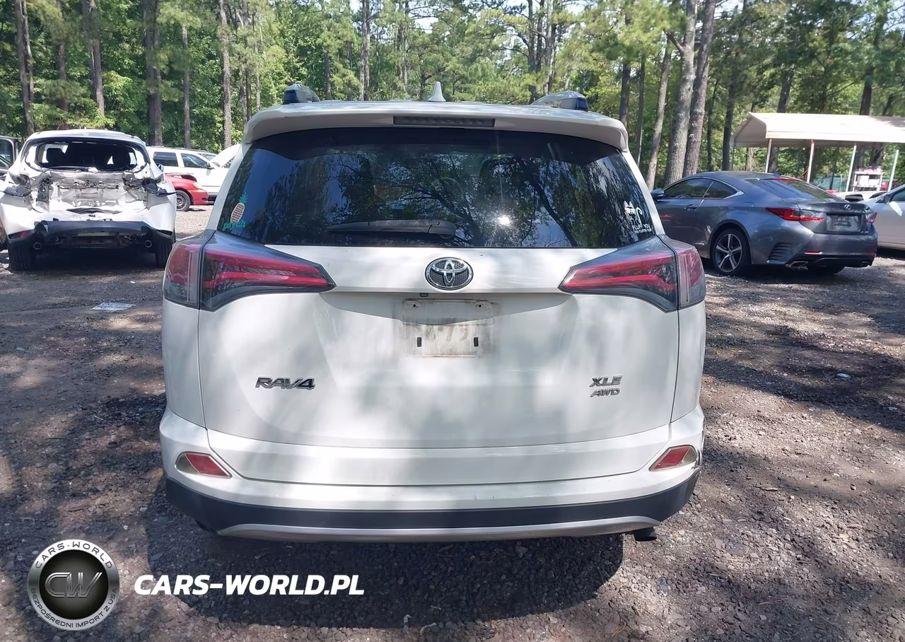 2016 Toyota Rav4 Xle VIN:JTMRFREV7GD179655 - 16