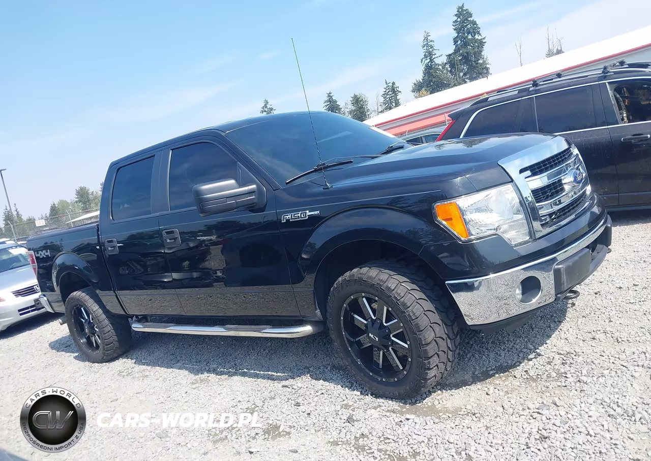 2013 Ford F-150 Xlt VIN:1FTFW1EF1DFA54471 - 12