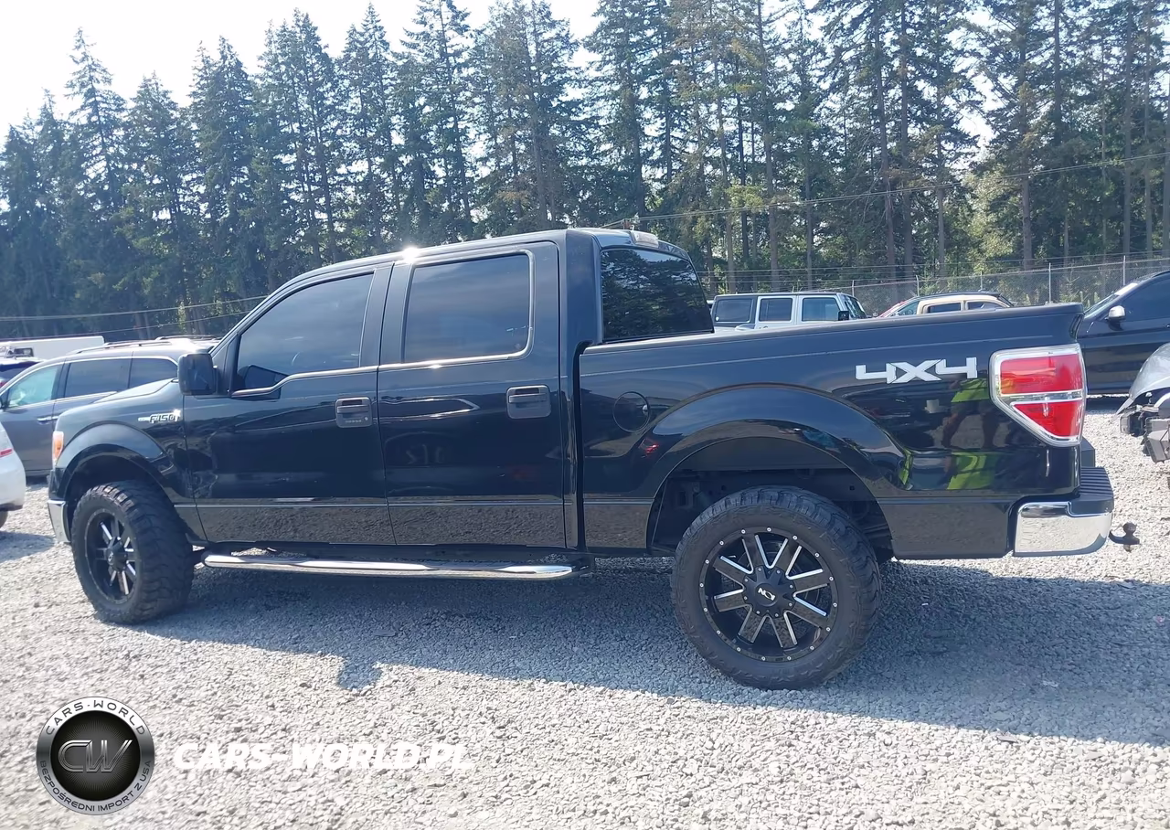 2013 Ford F-150 Xlt VIN:1FTFW1EF1DFA54471 - 13