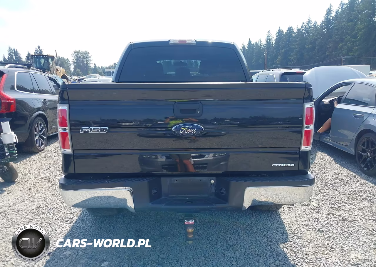 2013 Ford F-150 Xlt VIN:1FTFW1EF1DFA54471 - 15