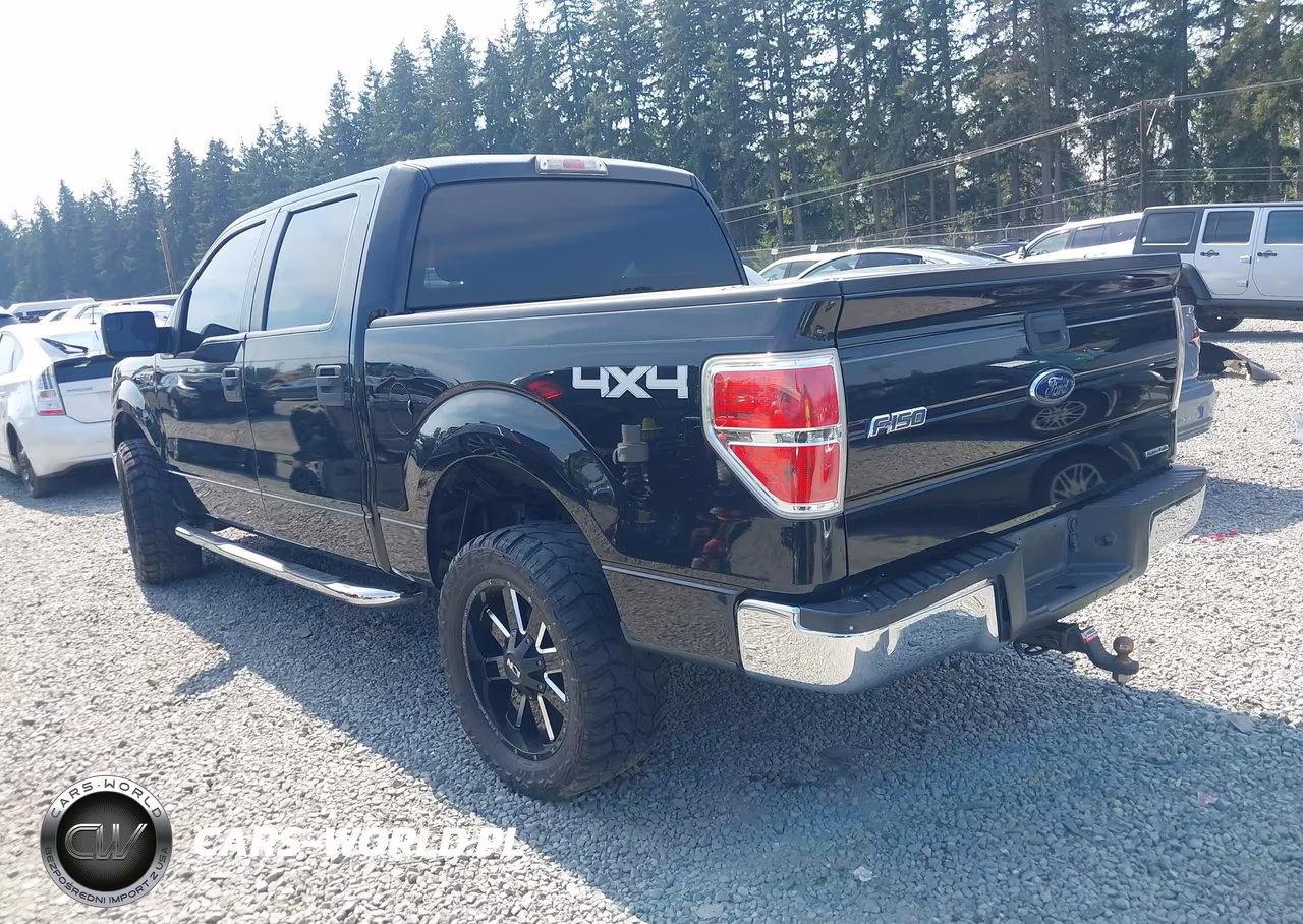 2013 Ford F-150 Xlt VIN:1FTFW1EF1DFA54471 - 3