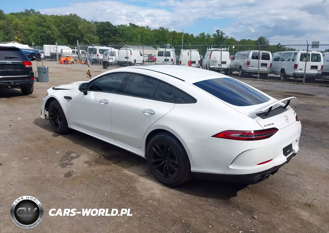 2019 Mercedes-Benz Amg Gt 53 4-Door Coupe VIN:WDD7X6BBXKA004121 - 3