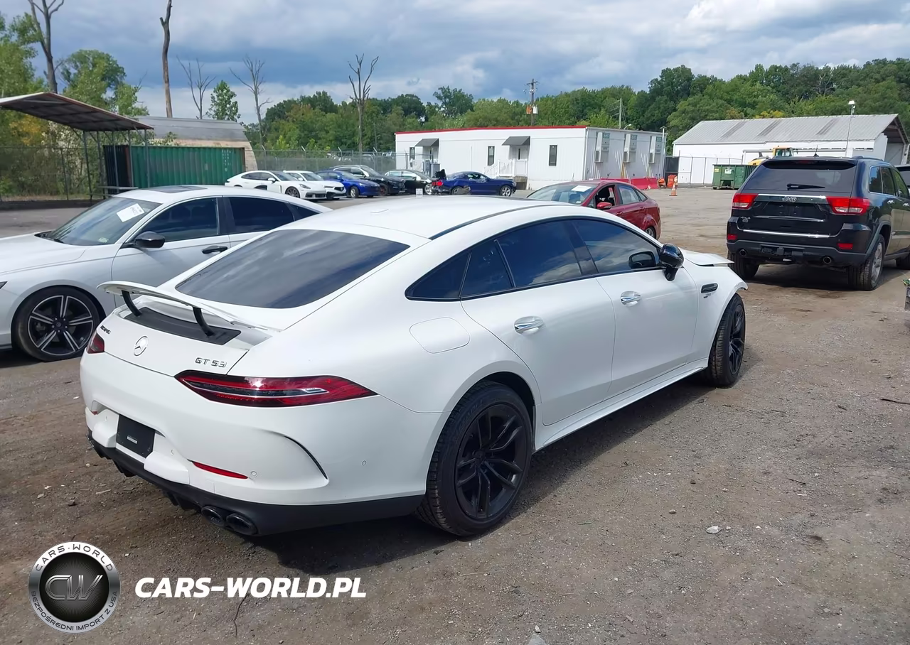 2019 Mercedes-Benz Amg Gt 53 4-Door Coupe VIN:WDD7X6BBXKA004121 - 4