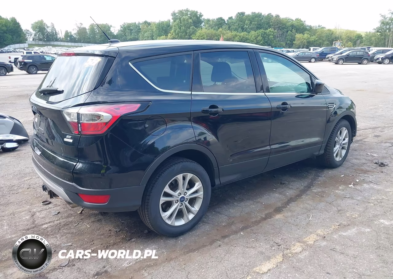 2017 Ford Escape Se VIN:1FMCU0G94HUE92666 - 4