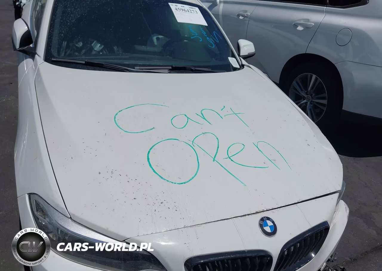 2017 BMW 230I VIN:WBA2F9C3XHV664724 - 10