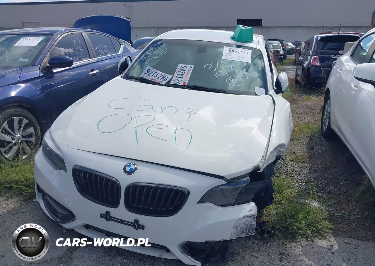 2017 BMW 230I VIN:WBA2F9C3XHV664724 - 12