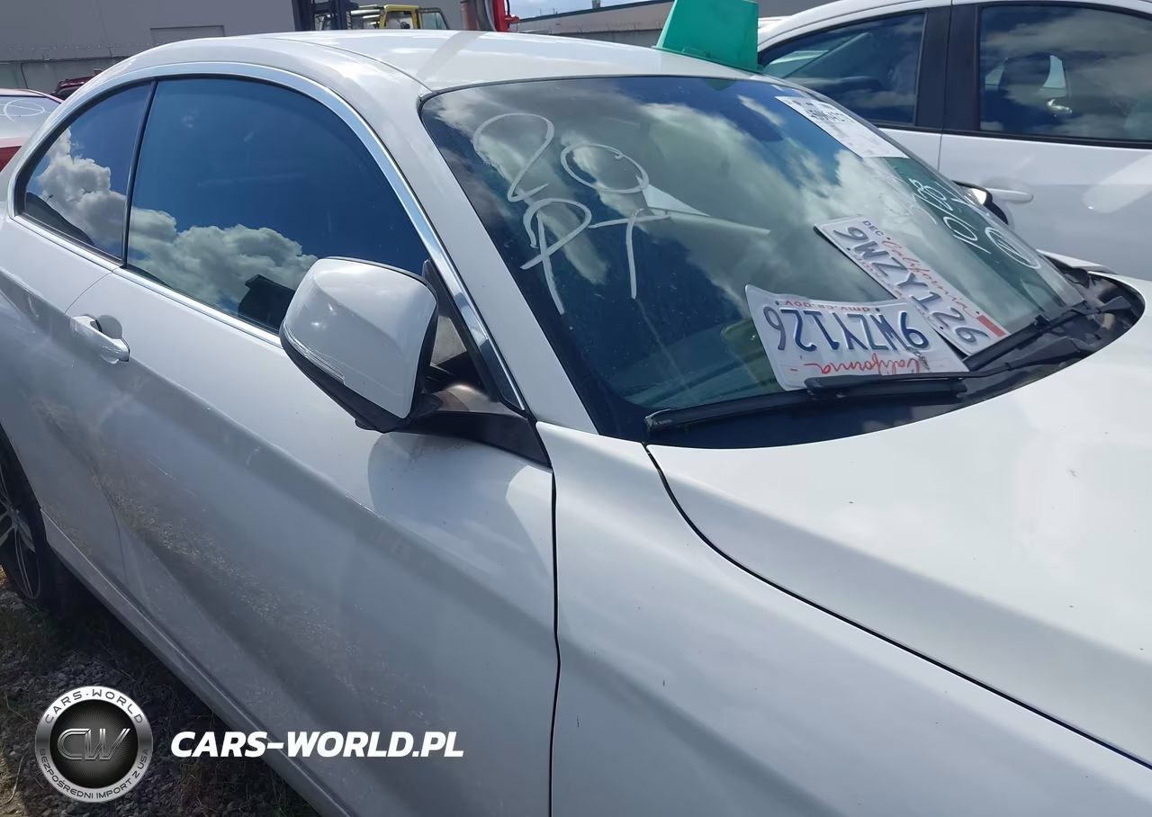 2017 BMW 230I VIN:WBA2F9C3XHV664724 - 13