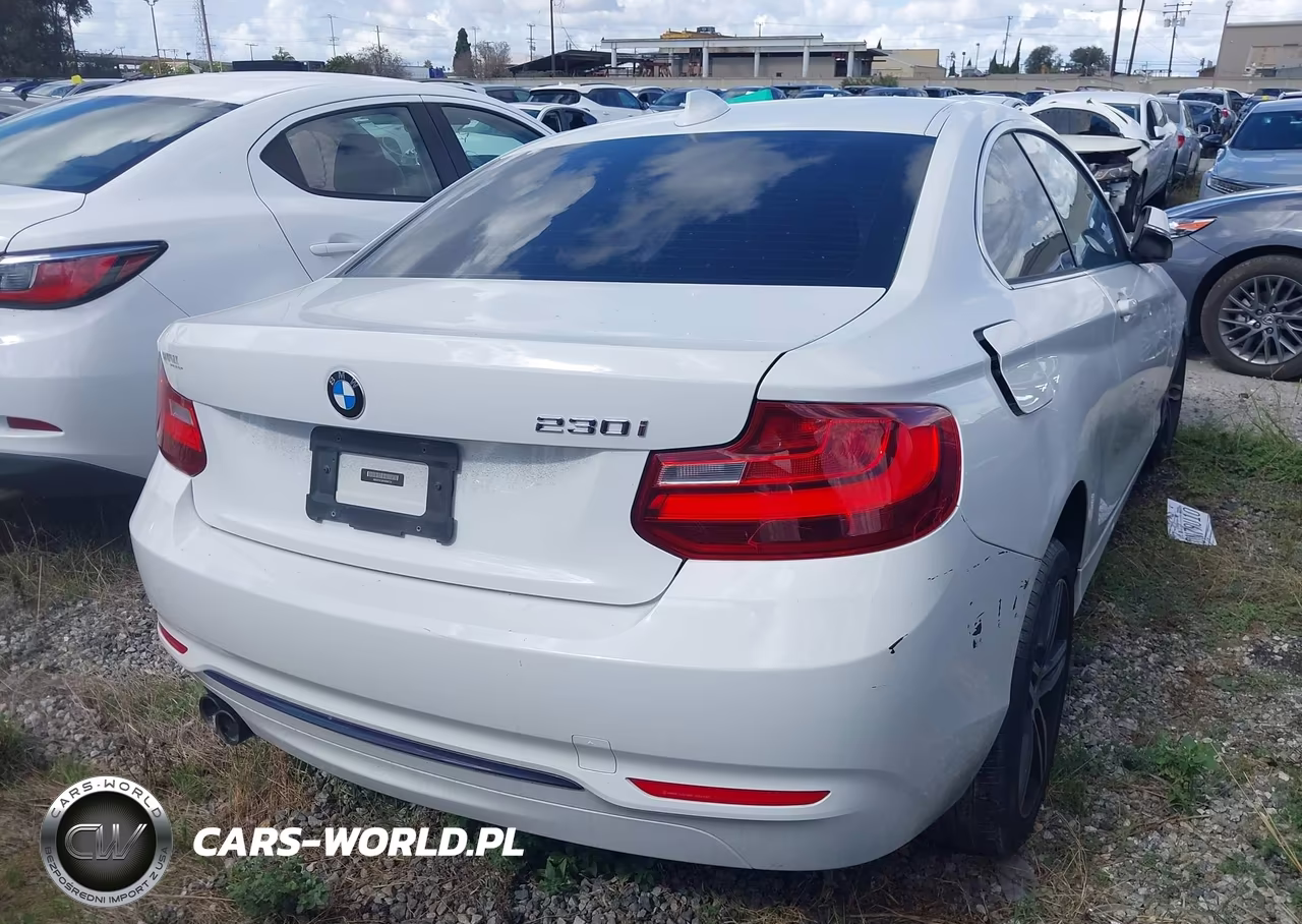 2017 BMW 230I VIN:WBA2F9C3XHV664724 - 16