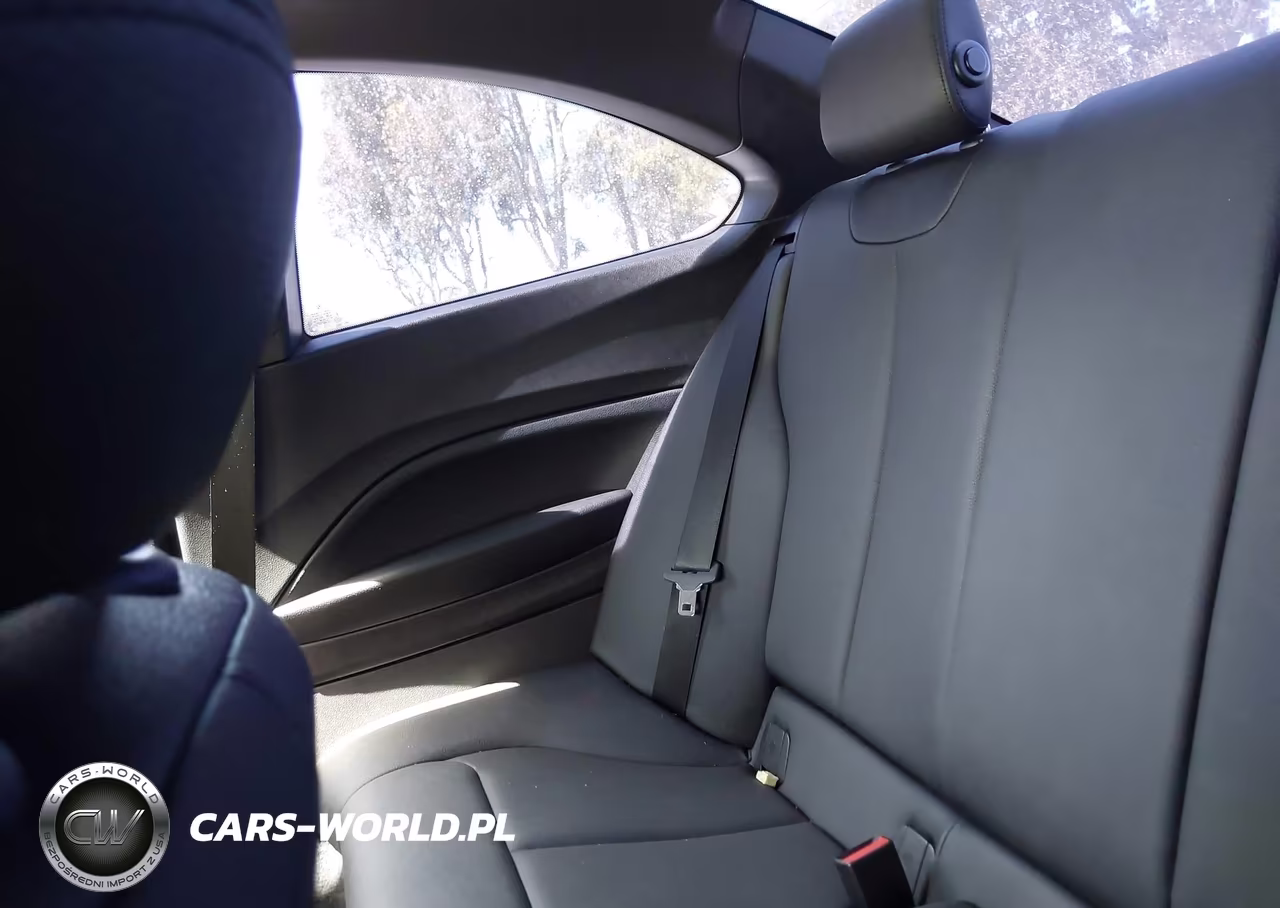 2017 BMW 230I VIN:WBA2F9C3XHV664724 - 18