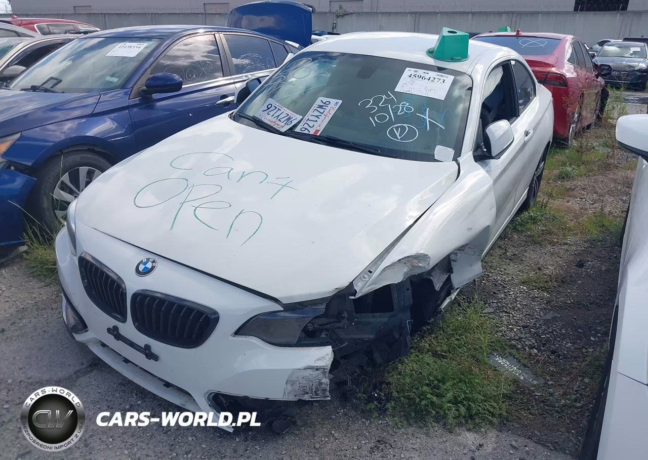 2017 BMW 230I VIN:WBA2F9C3XHV664724 - 2