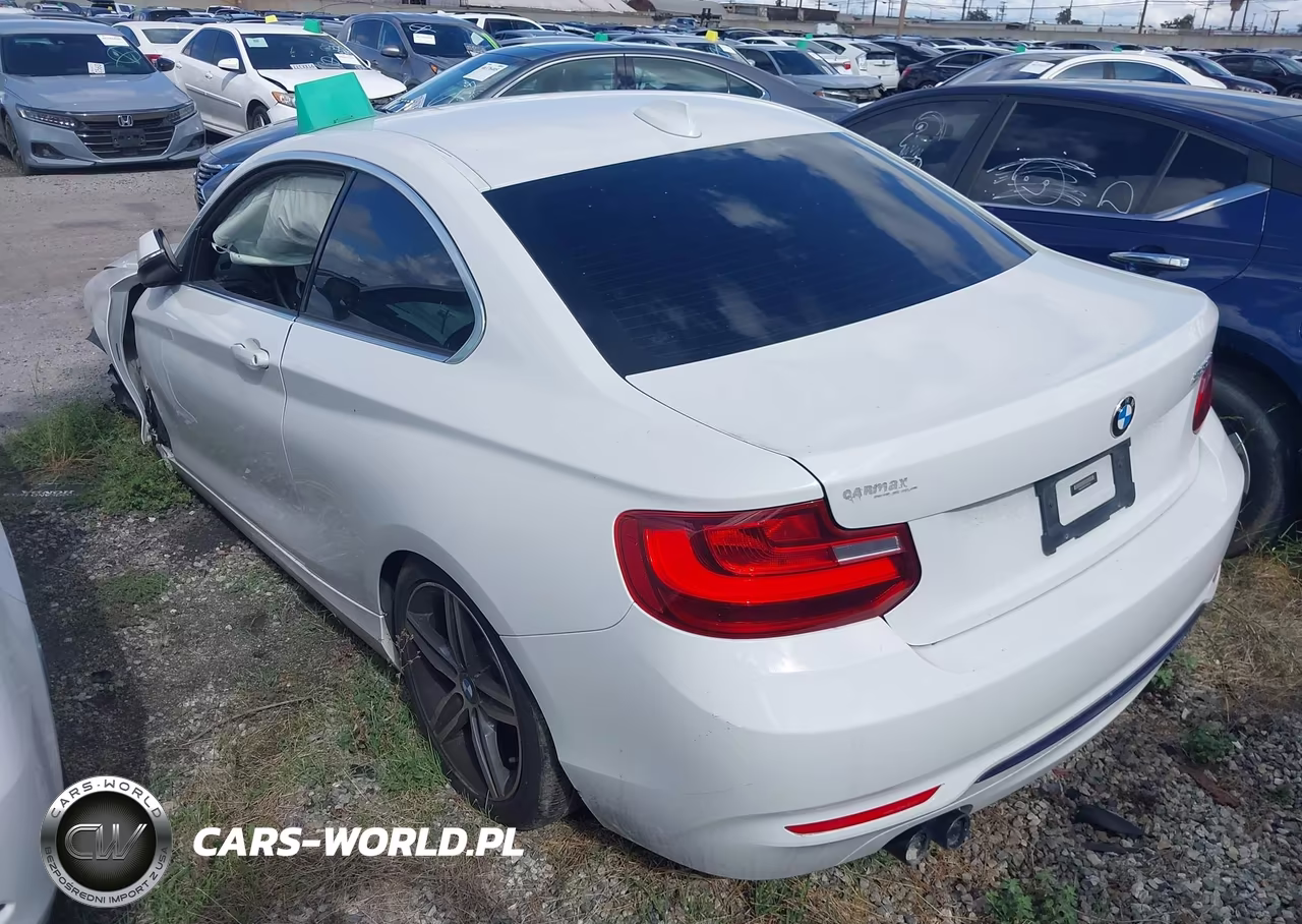 2017 BMW 230I VIN:WBA2F9C3XHV664724 - 3