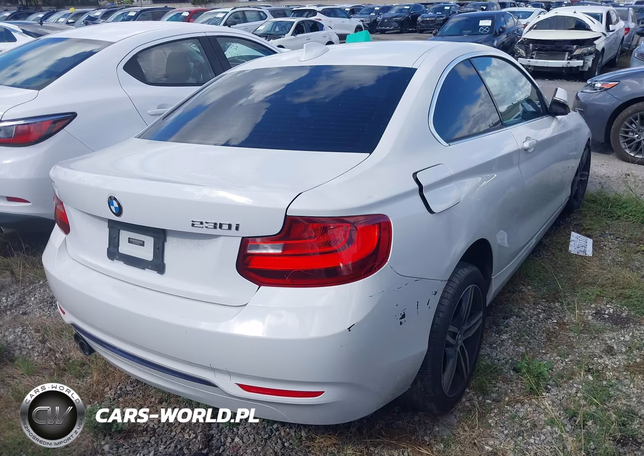 2017 BMW 230I VIN:WBA2F9C3XHV664724 - 4