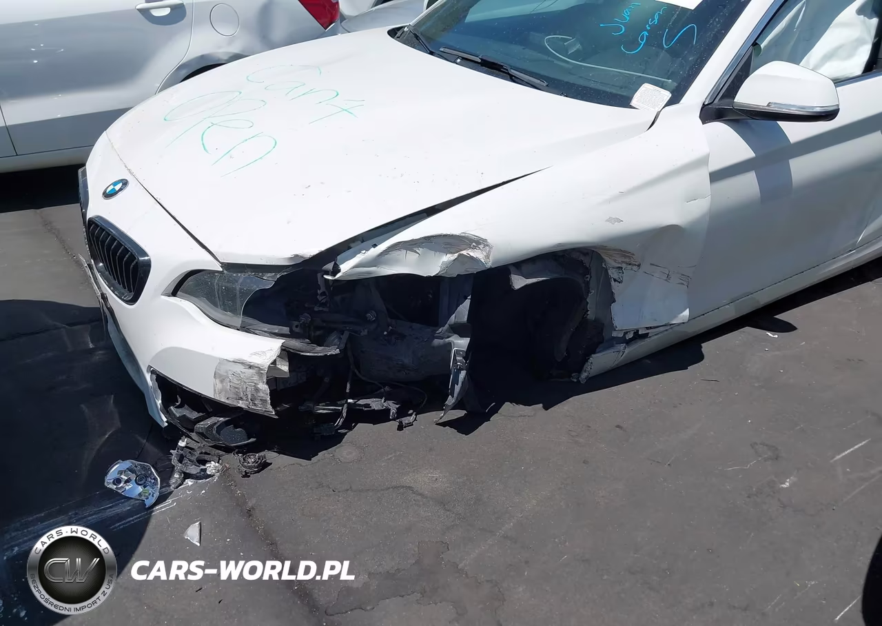 2017 BMW 230I VIN:WBA2F9C3XHV664724 - 6