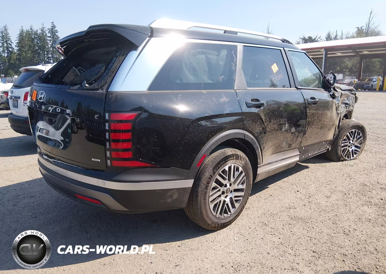 2026 Hyundai Palisade Sel 7P VIN:KM8RLES20TU129195 - 4