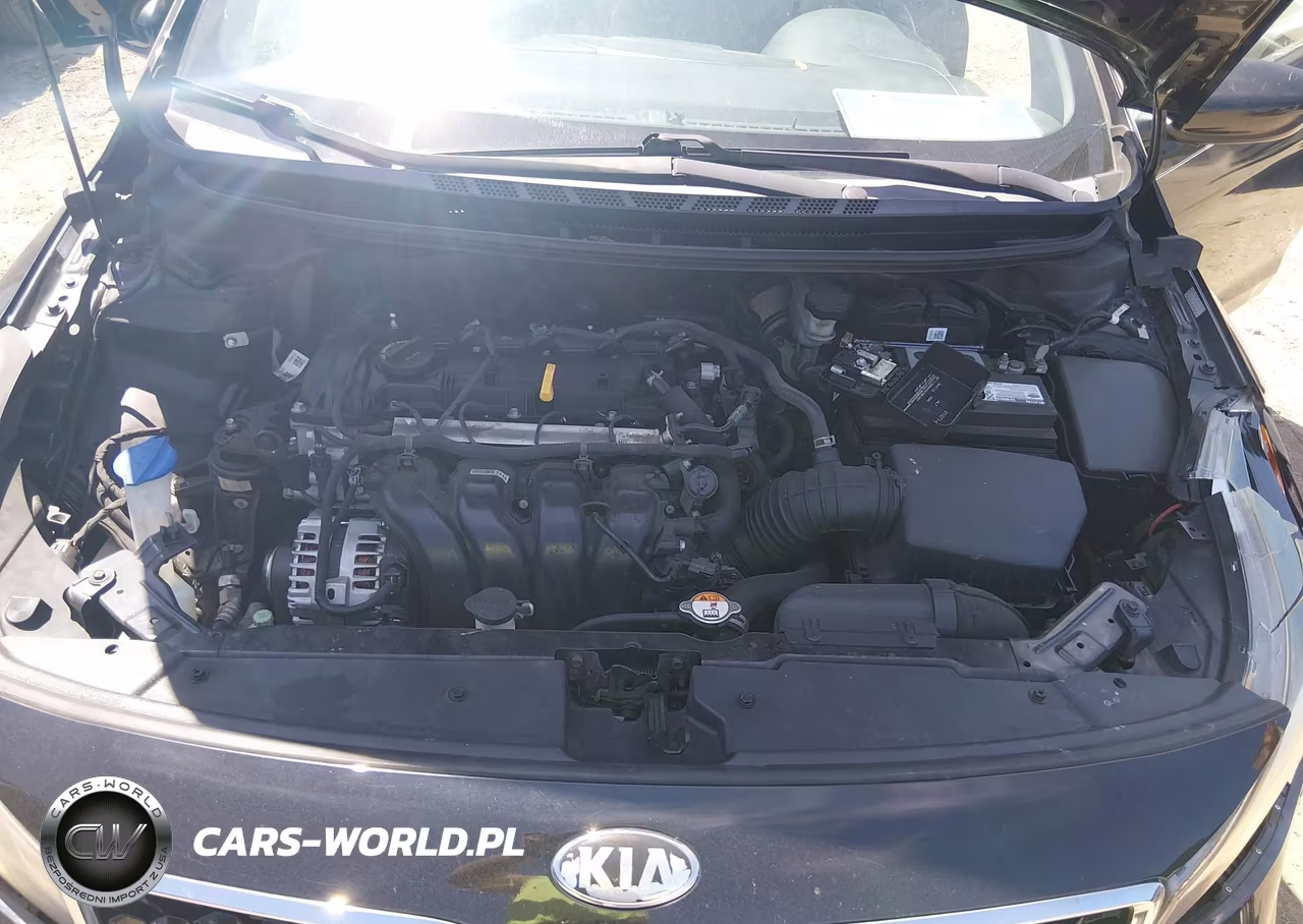 2017 Kia Forte Lx VIN:3KPFK4A74HE028927 - 10