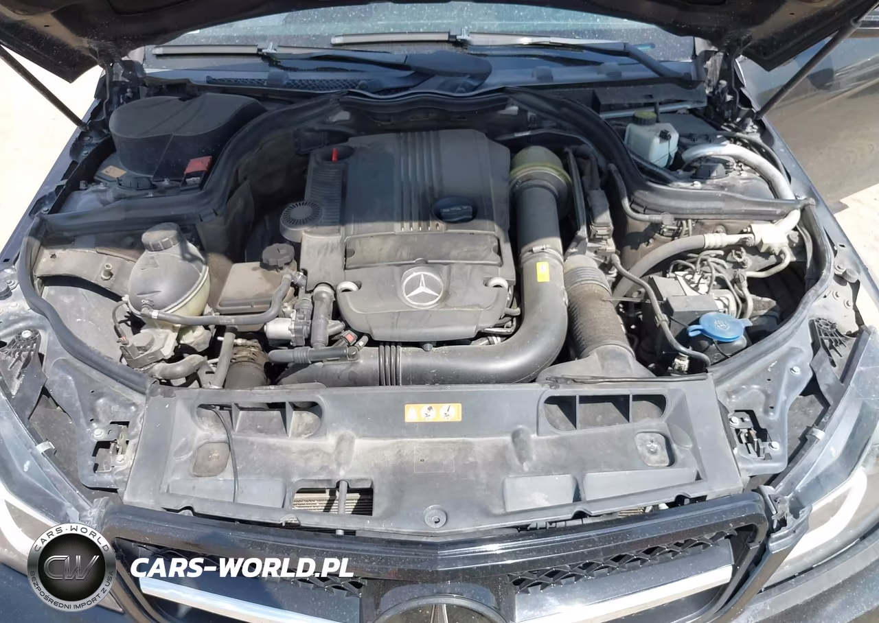 2013 Mercedes-Benz C 250 VIN:WDDGJ4HB3DG004698 - 10