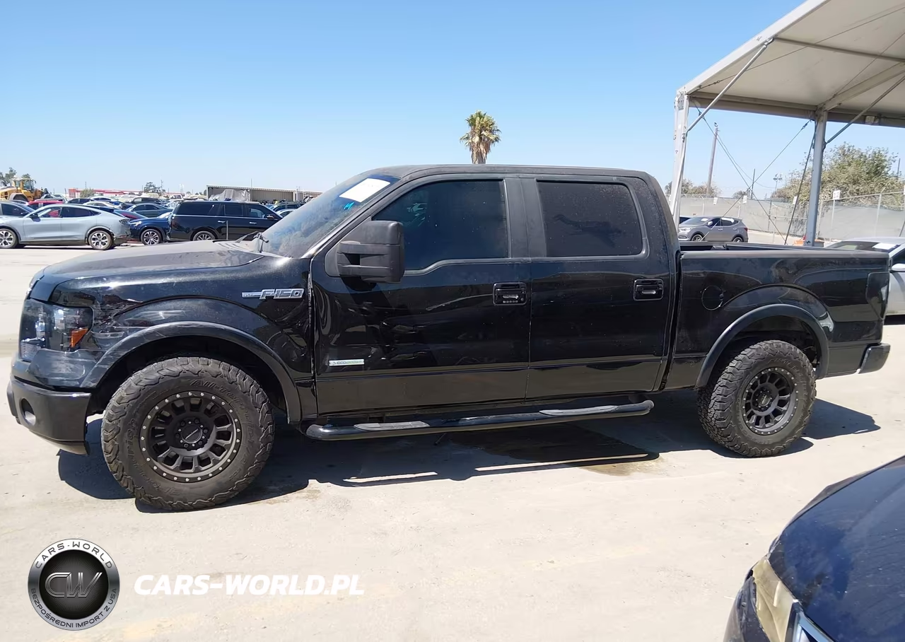 2011 Ford F-150 Fx2 VIN:1FTFW1CT0BKD41233 - 14