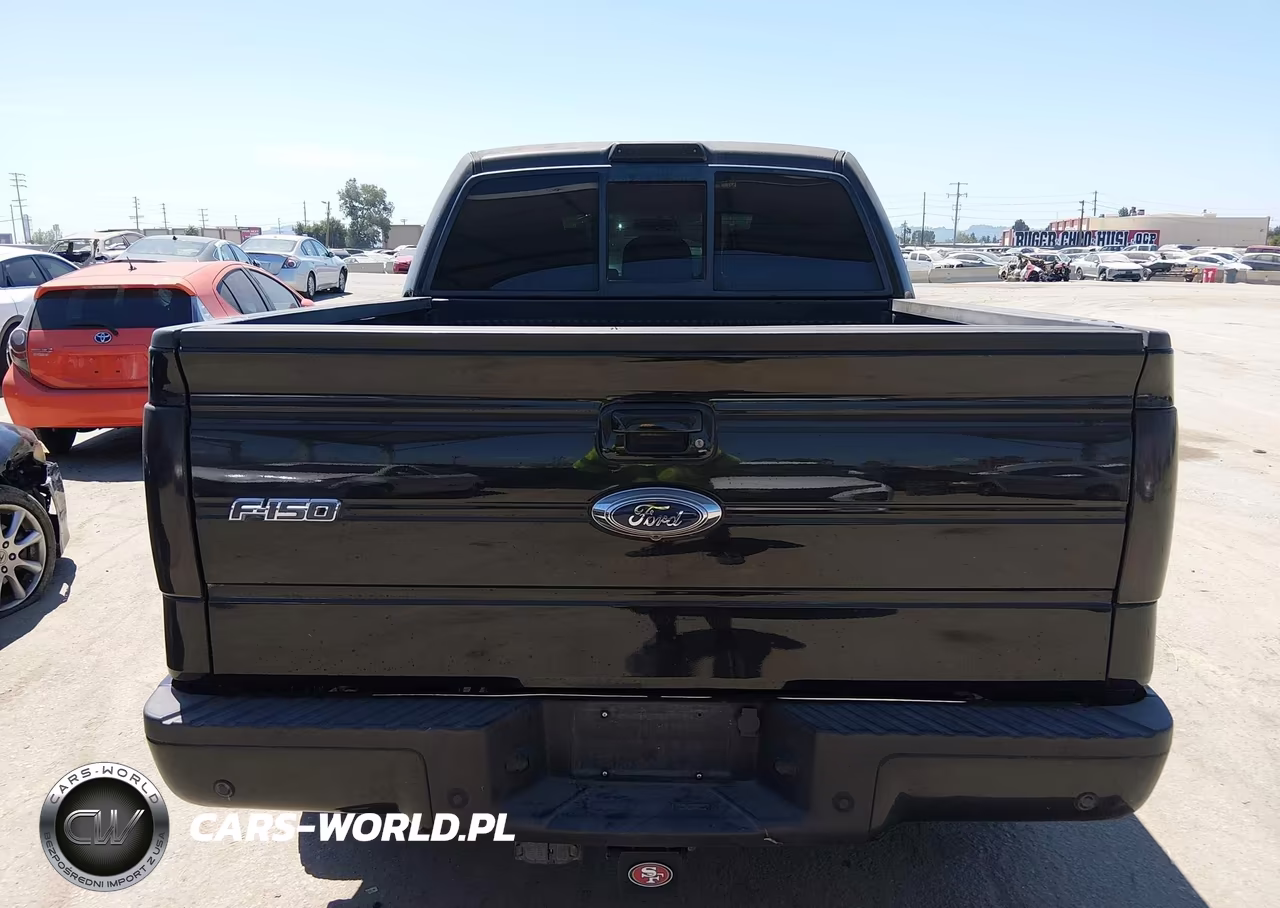 2011 Ford F-150 Fx2 VIN:1FTFW1CT0BKD41233 - 16