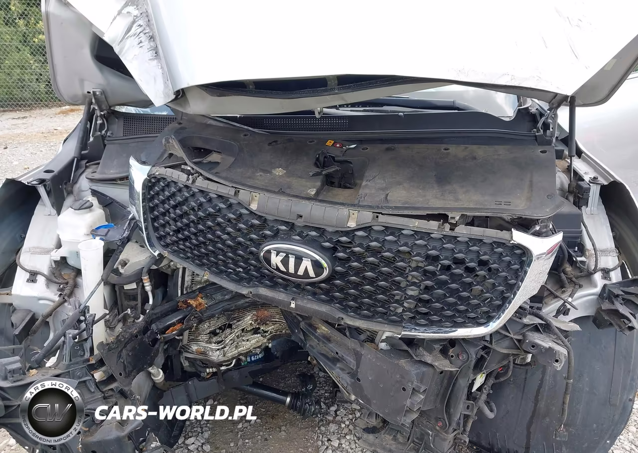 2016 Kia Sorento 2.4L Lx VIN:5XYPG4A3XGG092362 - 10