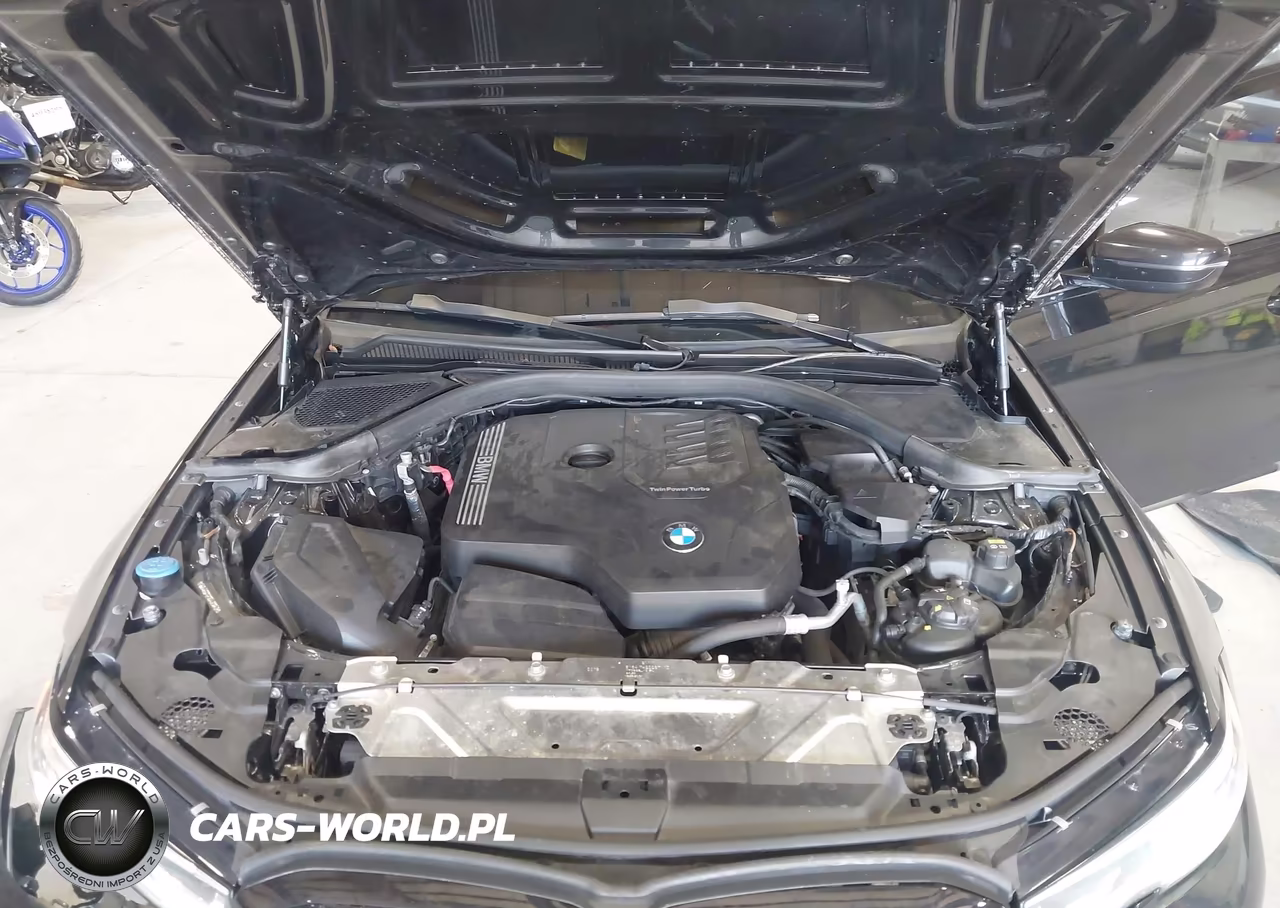 2019 BMW 330I xDrive VIN:WBA5R7C51KAJ81048 - 10