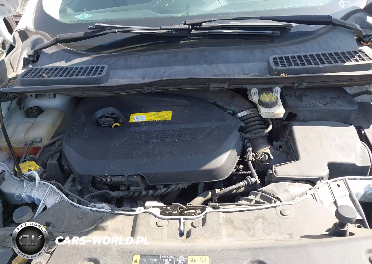 2015 Ford Escape Se VIN:1FMCU9GX5FUC28291 - 10