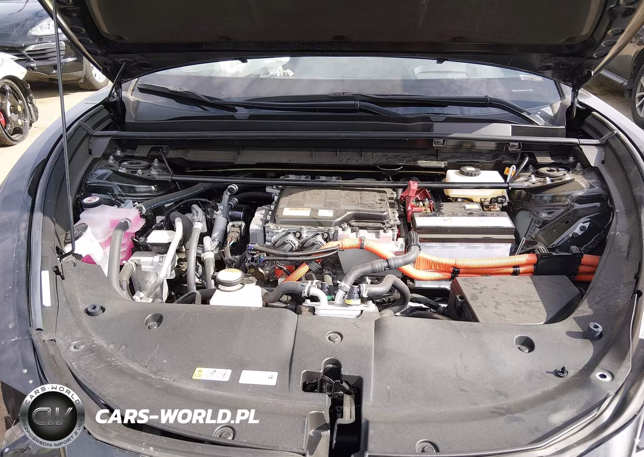 2024 Lexus Rz 300E Premium VIN:JTJABABB4RA002647 - 10