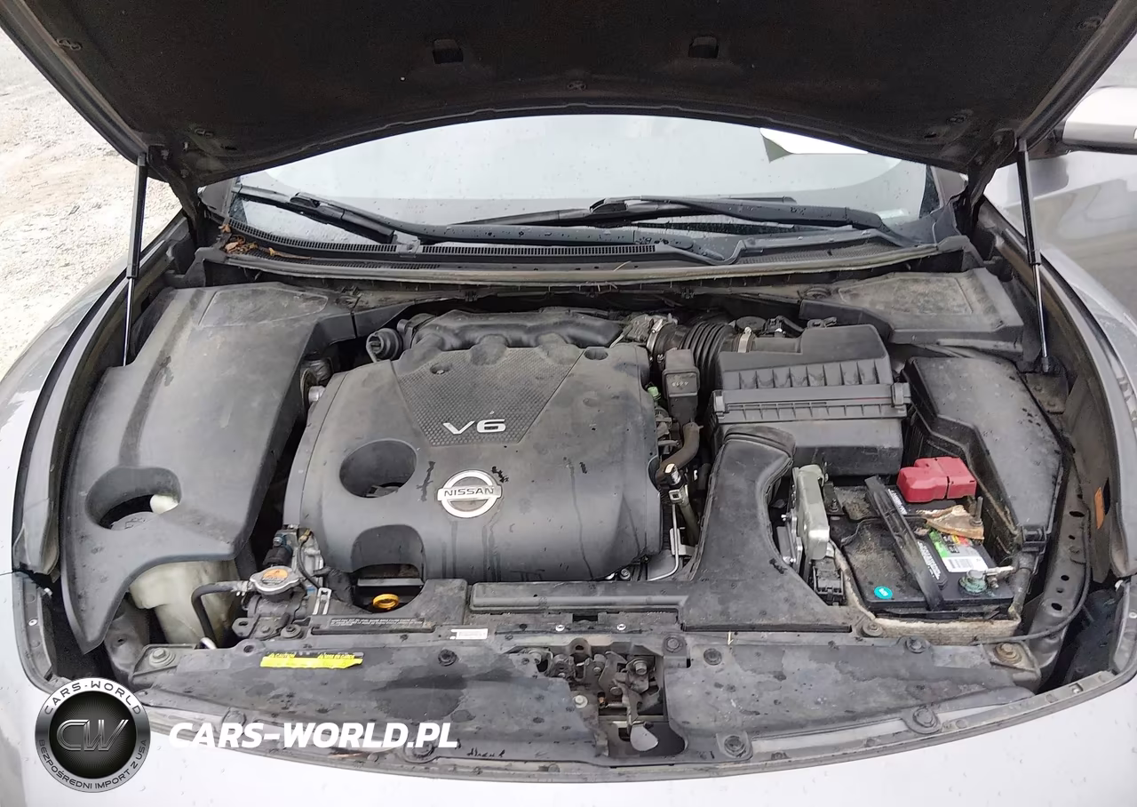 2014 Nissan Maxima 3.5 Sv VIN:1N4AA5AP8EC495750 - 10