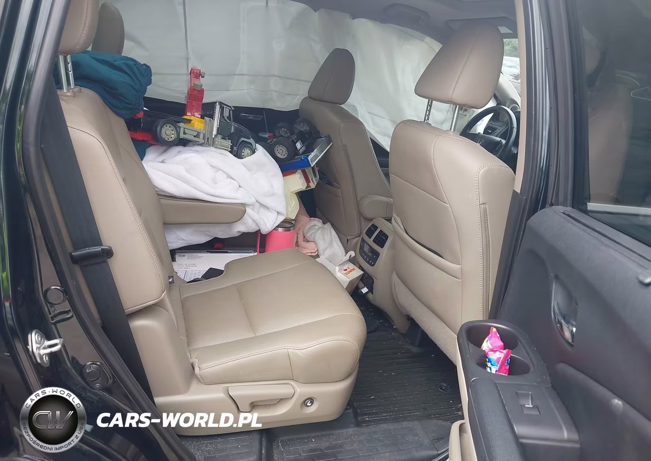 2019 Honda Pilot Elite VIN:5FNYF6H0XKB019801 - 8