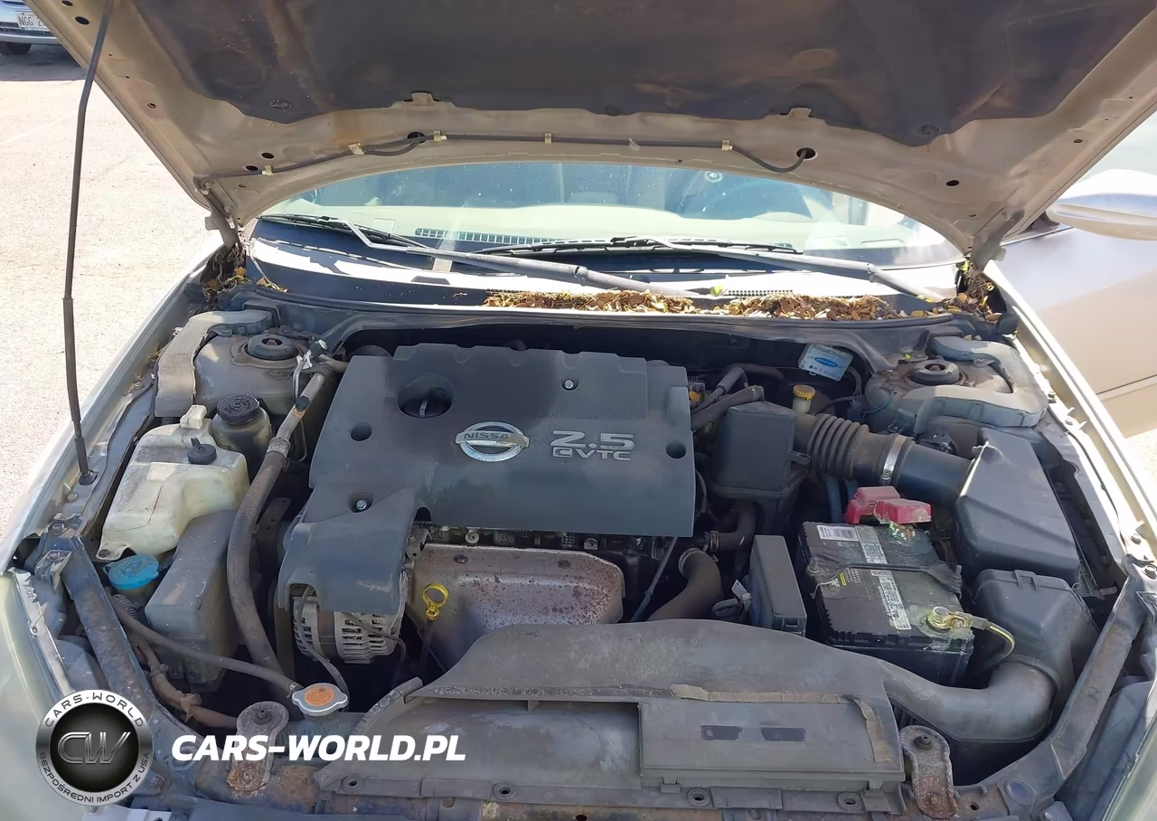 2006 Nissan Altima 2.5 S VIN:1N4AL11DX6C134949 - 10