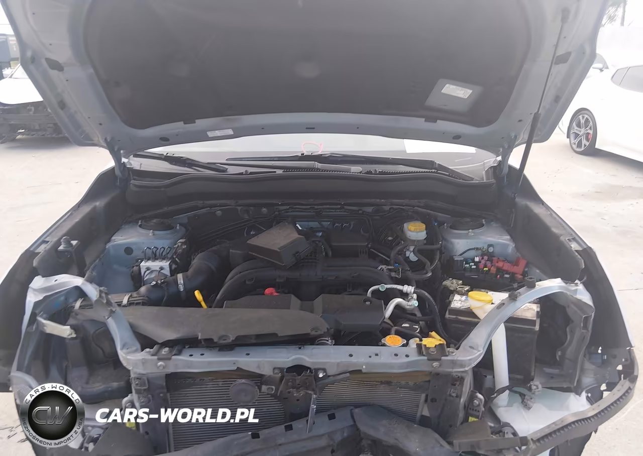 2017 Subaru Forester 2.5I Premium VIN:JF2SJAEC4HH496806 - 10