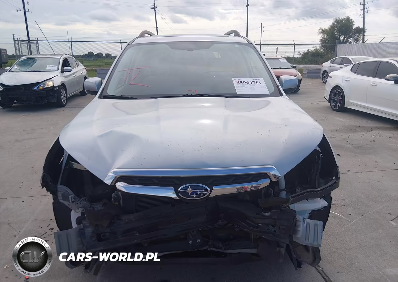 2017 Subaru Forester 2.5I Premium VIN:JF2SJAEC4HH496806 - 12