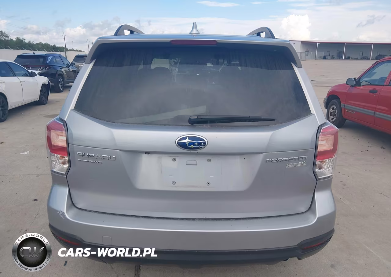 2017 Subaru Forester 2.5I Premium VIN:JF2SJAEC4HH496806 - 16